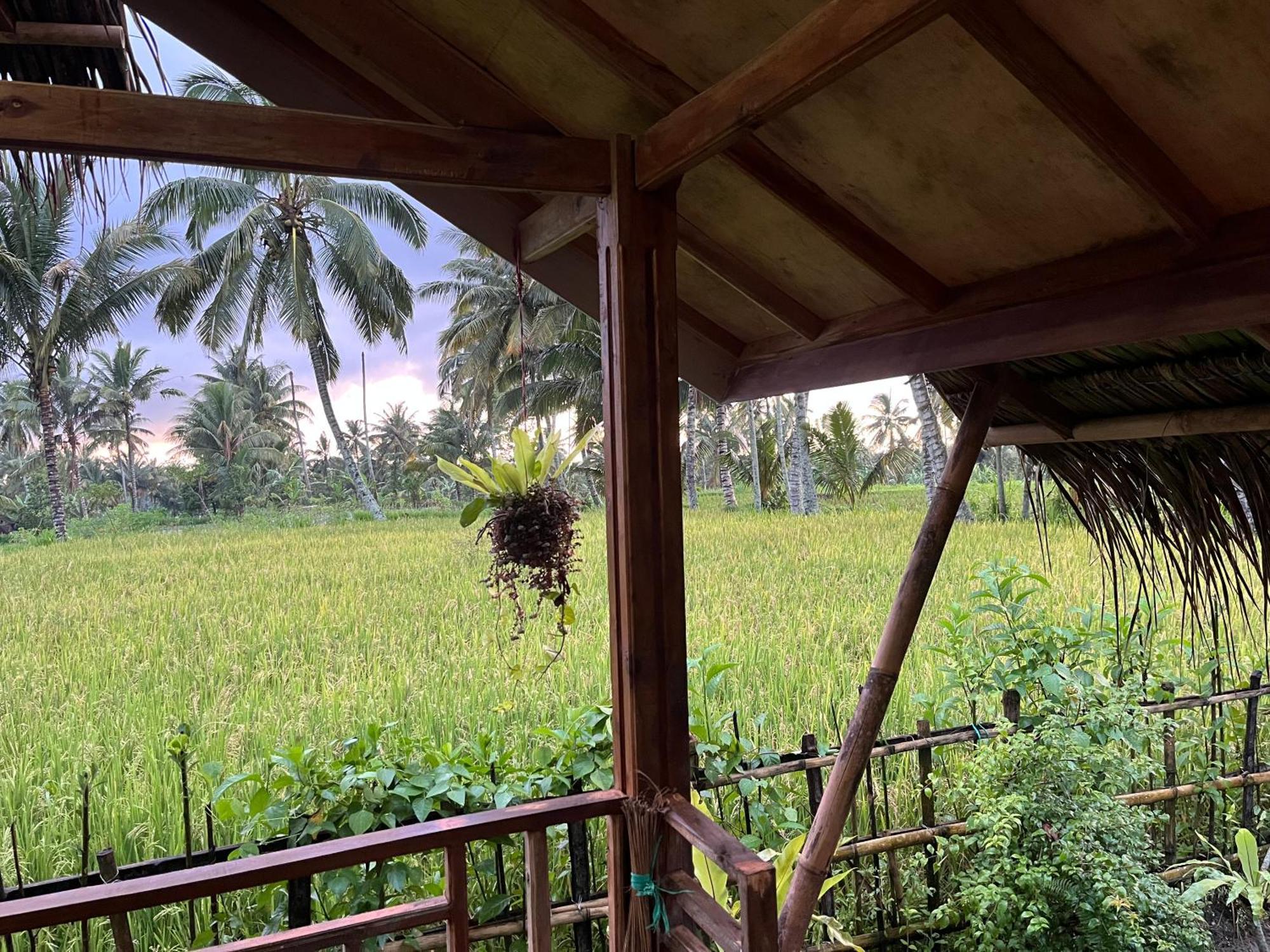 Syaqila Homestay Lombok تيتيباتو المظهر الخارجي الصورة