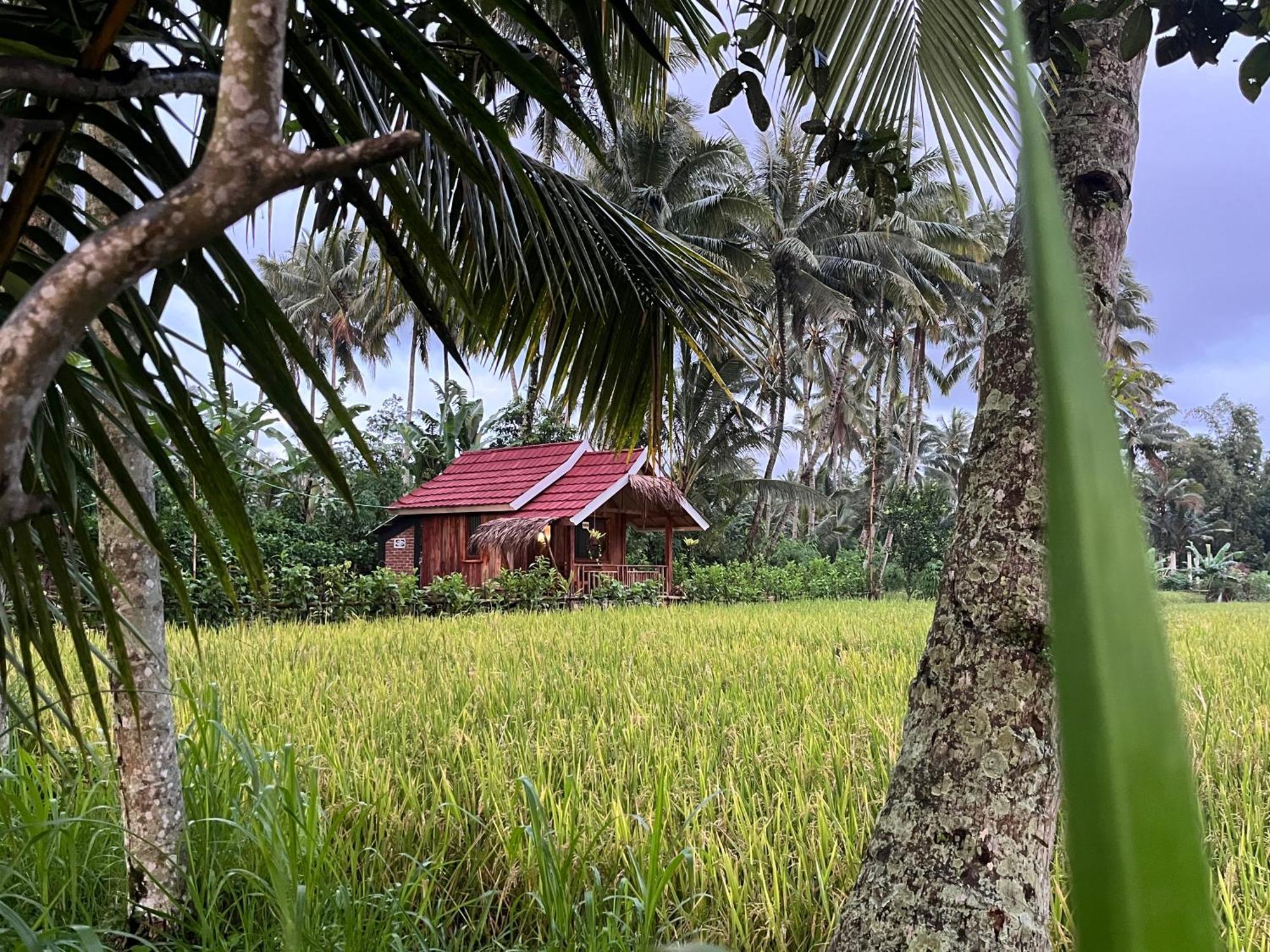 Syaqila Homestay Lombok تيتيباتو المظهر الخارجي الصورة