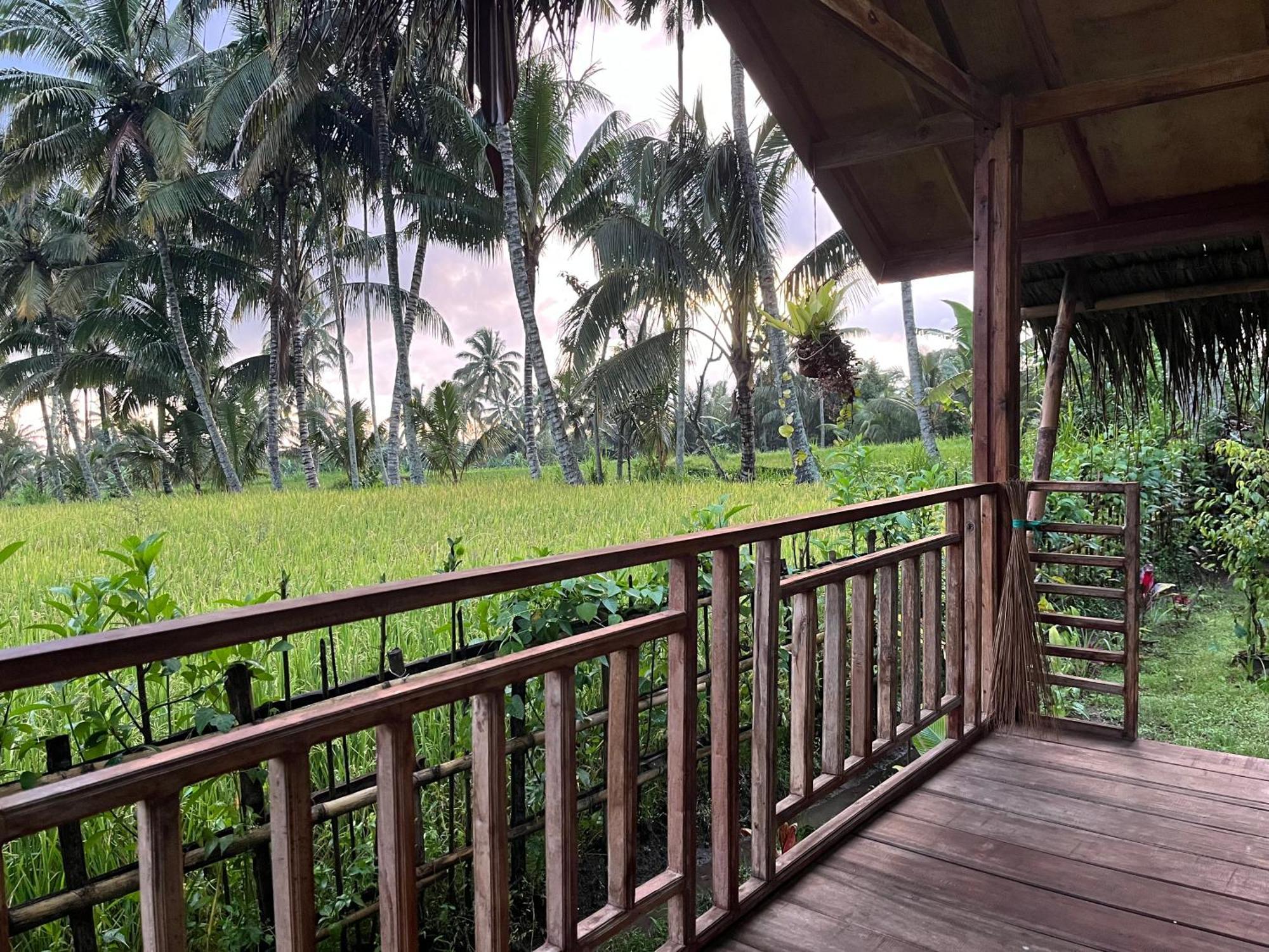 Syaqila Homestay Lombok تيتيباتو المظهر الخارجي الصورة