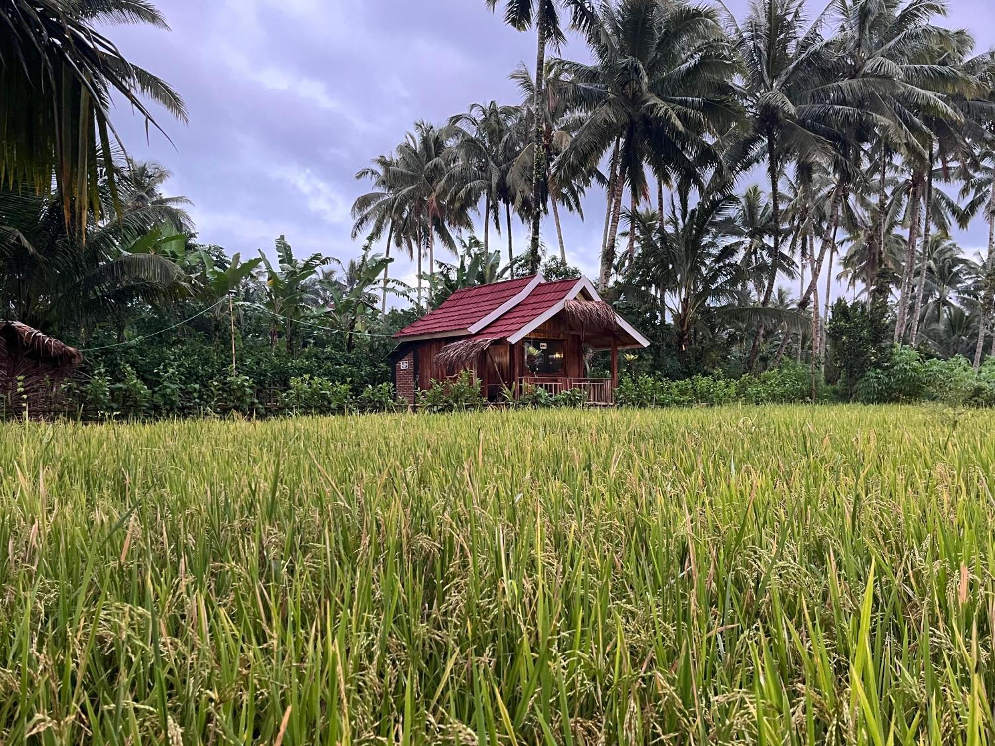 Syaqila Homestay Lombok تيتيباتو المظهر الخارجي الصورة